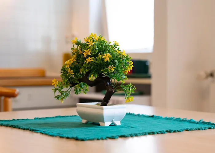 Il Bonsai Apartamento Rapallo