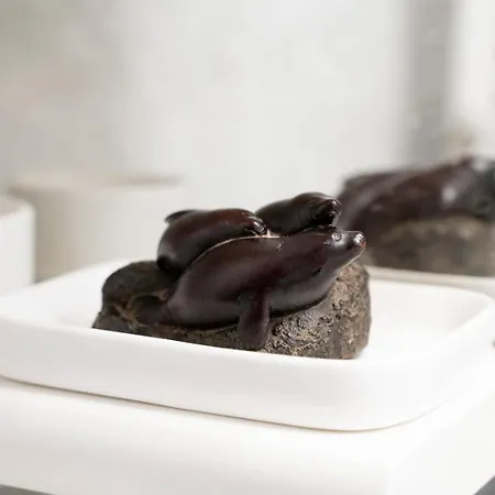 Il Bonsai Apartment *