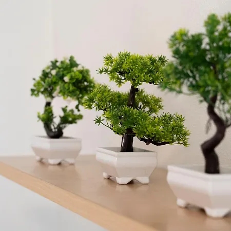 Il Bonsai Apartment