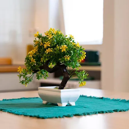 Il Bonsai Apartment Rapallo